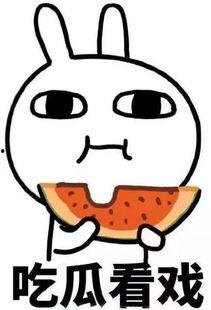 打架吃瓜新闻,一场打架事件背后的吃瓜众生相