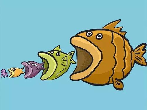 飞瓜吃小鱼,一场生态平衡的奇妙冒险