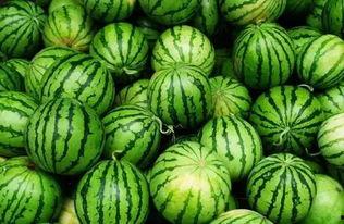 广商吃瓜群,揭秘校园生活那些事儿