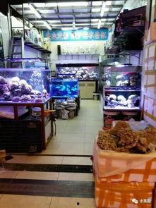 广州吃瓜墙,街头巷尾的市井百态