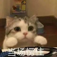 我想带你吃瓜,带你领略娱乐圈的“瓜田”盛景  第3张