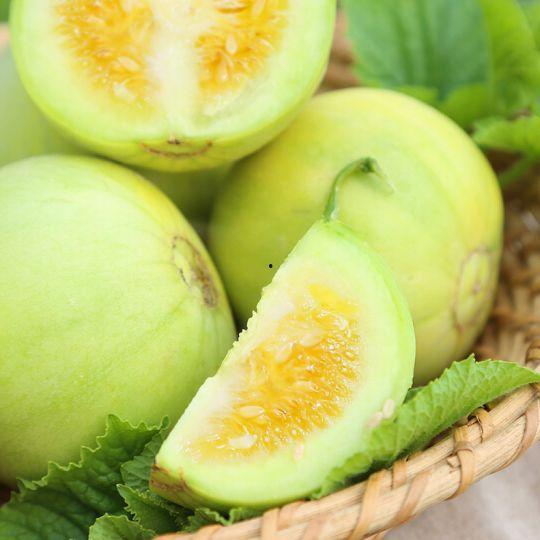 砀山官庄吃瓜,夏日炎炎，瓜香四溢的乡村食趣之旅  第2张