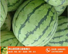 砀山官庄吃瓜,夏日炎炎，瓜香四溢的乡村食趣之旅  第3张