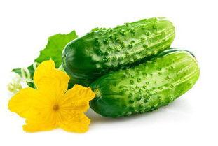 减肥的人可以吃泥瓜吗,减肥期间的理想低卡美食选择  第2张