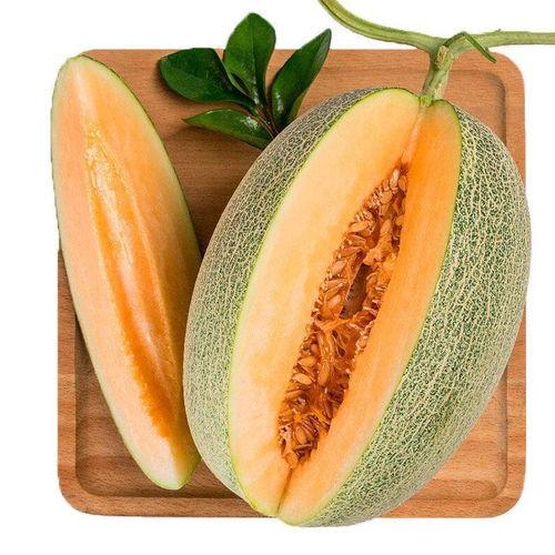 孕期喜欢吃小蜜瓜,小蜜瓜的孕期美食之旅