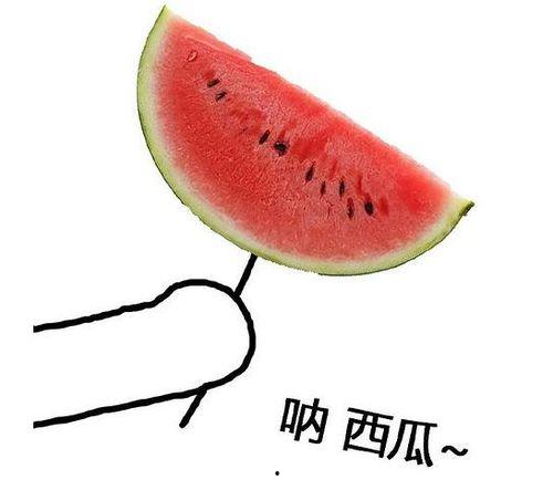 誓约自己吃自己瓜  第3张