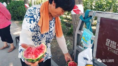 京城吃瓜群众图片大全  第3张