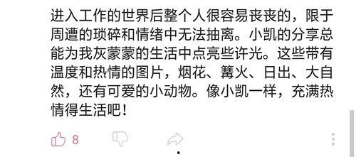 豆瓣吃瓜瓷组  第2张