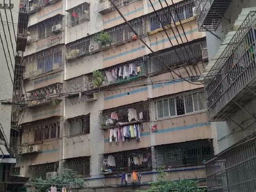 锦绣花园吃瓜  第3张