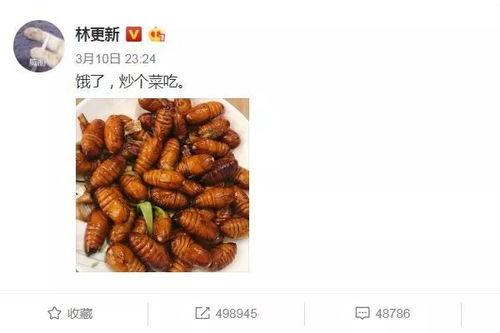 小小蛹吃瓜  第2张