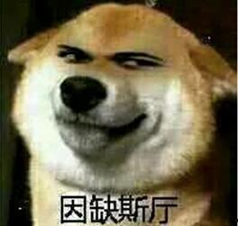 qq吃瓜狗血群  第2张