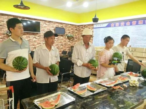 吃瓜比赛教室,一场舌尖上的趣味盛宴  第2张