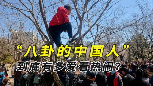 缅甸边境吃瓜现场,揭秘边境风情与民间故事  第2张