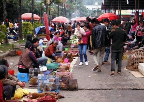 缅甸边境吃瓜现场,揭秘边境风情与民间故事  第3张