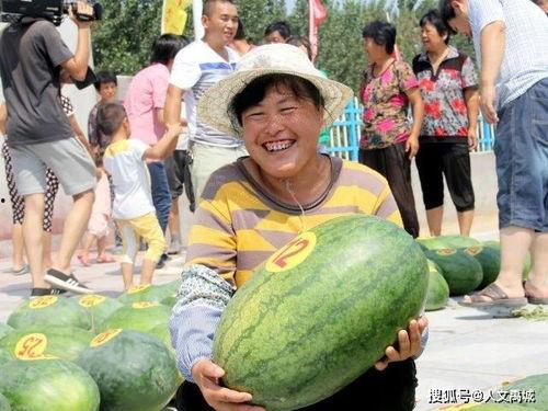 禹城吃瓜事件视频,一场引发热议的网络视频风波  第2张