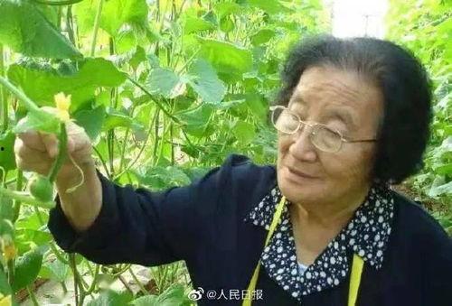 吃瓜不坐马扎,轻松坐享马扎时光  第2张