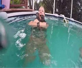 水獭吃瓜视频,萌态十足引网友爆笑