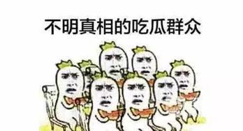 吃瓜群众意外死亡新闻,吃瓜群众追剧时不幸遇难，引发社会关注与反思  第1张